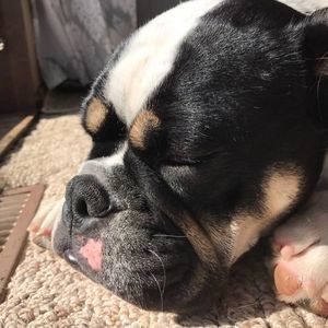 Meet your Posher, Chelsea